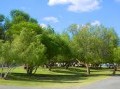 Caravan Park With River Frontage - Robertson 3