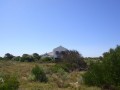 Vacant Stand, Shelley Point Golf Estate 6