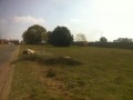 Erf 1049, Celtisdal, Ext 39, Raslouw Glen Estate