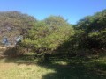 Vacant Stand, Morgans Bay 3