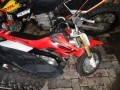 Vehicle Auction - Gauteng