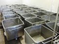 Plant and Machinery, Meat Processing Plant, Maitland 30