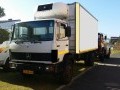 Vehicle - Maitland