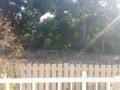 Kenilworth townhouse at an affordable price ! 9