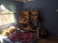 Large Family Home on 2.8 Ha, Greenbushes 4