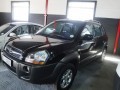 Vehicle Auction - Somerset West