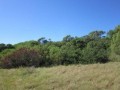  Large Stand In Green Coastal Reserve - Sardinia Bay,Theescombe, Port Elizabeth