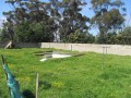 3-Bedroomed Home with Cottage, Greenbushes 1