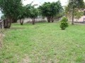Vacant Stand, College Hill 2