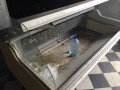 Contents of Cash and Carry, Grahamstown 7