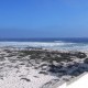 Yzerfontein stand offers ‘sun, surf and white sandy beaches’