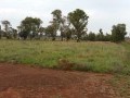 Development Potential, Beckedan 1