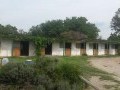 Heritage Equestrian Centre, Nooitgedacht