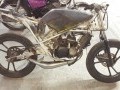 Vehicle Auction - Somerset West 1