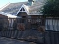 Beautiful low maintenance home  4