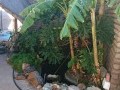 Beautiful low maintenance home  11