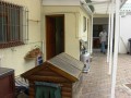 Coastal Home, Kommetjie 3