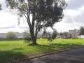 Residential Vacant Stand, Vierlanden 5