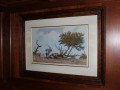 Entire Household Contents – All Must Be Sold, Craighall 1