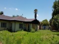2 Houses & 1 Cottage On Large Stand 7