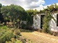 Georgian Gem, Somerset West 5