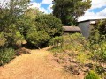 Georgian Gem, Somerset West 10