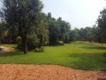 4- Bedroomed Thatched Home, Montana 21