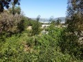 5.6 Hectare Development Site -Knysna 29