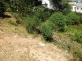 5.6 Hectare Development Site -Knysna 35