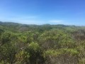 4.3Ha Vacant Stand, Port Alfred 5