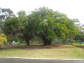 Vacant erf in Silwerstrand Golf Estate - Robertson