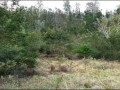 Smallholding - Suurbraak 3