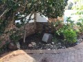 3-Bedroomed Home - Parow 6
