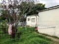3-Bedroomed Home, King Williams Town 5