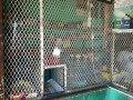 Commercial Property, Grahamstown 1