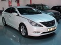 Vehicle Auction - Somerset West 1