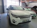 Vehicle Auction - Pe