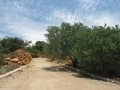 Vacant Freehold Residential Stand Wilkoppies  2
