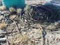 Equipment, Containers, Tools and Movable Assets, Upington 14