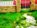 3-Bedroomed Home, Ravensmead 12