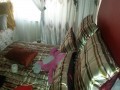 Single Storey Residential Property on Large Stand, Gresswold 9