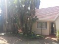 Single Storey Residential Property on Large Stand, Gresswold 12