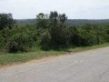 Vacant Stand - Village of Seafield 2