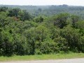 Vacant Stand - Village of Seafield 5