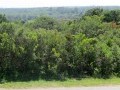Vacant Stand - Village of Seafield 6