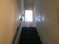 Maisonette, Braelyn 11