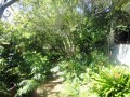Family Home, Prime Location 18