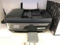 Liquidation Auction - Pholaco - Atlantis 41