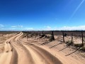 1176 Hectare Farm - Hopefield 8