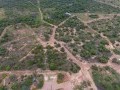 92 Ha - Multi-purpose Farm, Kgellengrivier 9